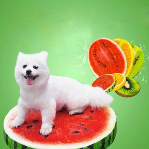 Creative Cute Watermelon Comfortable Plush Toys Pet Cushion